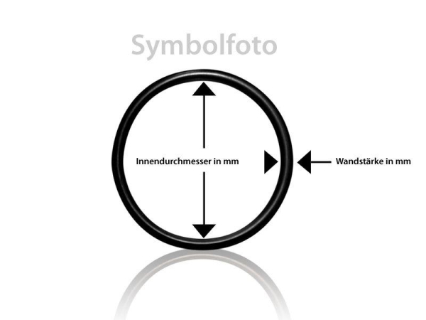 O-Ring für Produktschnecke im Produktbehälter Omnimatik P90